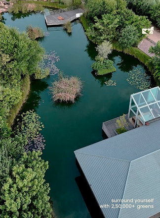 UFit Flow Fest Monkey Forest Ahmedabad